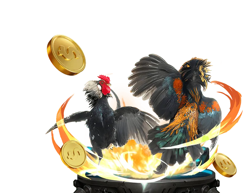 Lợi ích mã 188bet đá gà